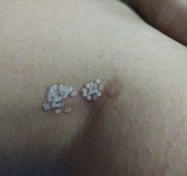 QQ截图20190322161006